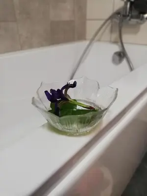 a glass bowl with a purple flower in it on a sink at Froja in Zator
