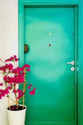 a green door with a potted plant in front of it at DREAM Boutique Apartment 42m2 in the heart of Cracow Old Town in Kraków