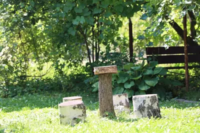 a stone structure in the grass with two logs at Agroturystyka u Babci in Czchów