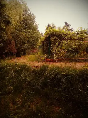a field with a fence and trees in the background at Agroturystyka u Babci in Czchów