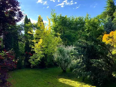 a garden with trees and bushes and grass at Secret Garden Residence in Paszkówka