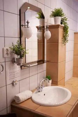 a bathroom sink with a mirror and potted plants at Bailey Apartment in Kraków