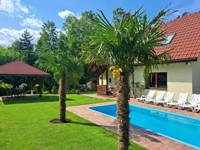 a house with a swimming pool and two palm trees at Dom na polanie in Brzeźnica