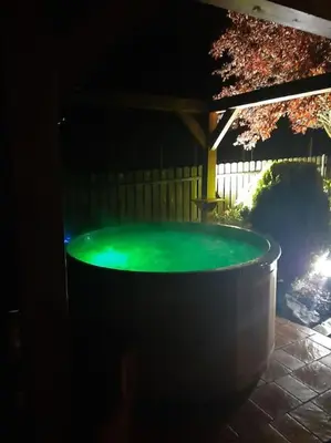 a large tub filled with green water in a backyard at Dom na polanie in Brzeźnica