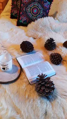 a book and pine cones and a candle on a bed at Widokowa Chata in Obidowa