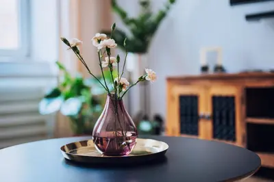a vase with flowers on a plate on a table at Szpitalna 20 Apartment nr 8 in Kraków
