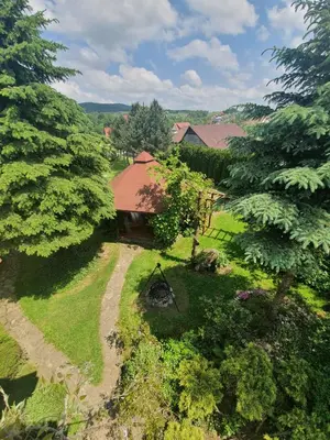 an aerial view of a house in the middle of trees at Gospodarstwo Agroturystyczne Borówkowy Bukiet Smaków in Iwkowa