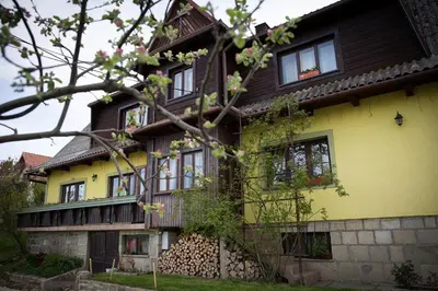 a yellow and brown house with a tree at Śmietanówka Agroturystyka in Krzczonów