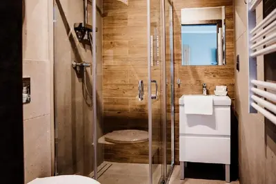 a bathroom with a shower and a toilet and a sink at Róża Rooms in Zator