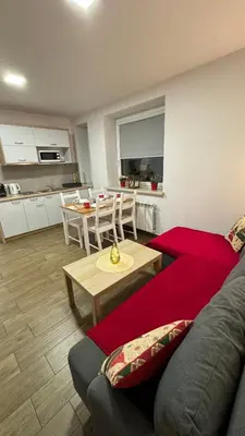 a living room with a couch and a table at Apartamenty ZATOR20 2 min od Energylandii in Zator