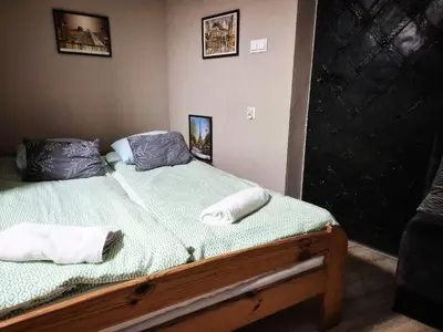 a bathroom with a toilet and a shower curtain at Bracka 4 Apartament in Kraków