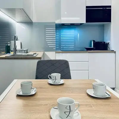 Modern Silver Apartment