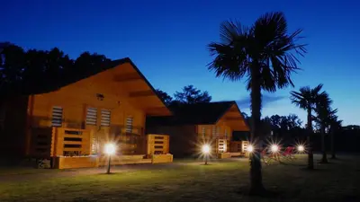 a building with a palm tree in front of it at night at Nocleg Zator Domki Paradise Pod Palmami in Zator