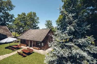 an aerial view of a cottage with a tree at Kogutowo Agroturystyka MPR in Wietrzychowice