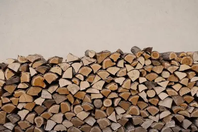 a bunch of wood chips in a pile at Noclegi Pod Dębem u Jakuba in Niepołomice