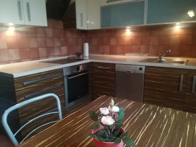 a kitchen with wooden cabinets and a table with a plant at Villa For You in Oświęcim
