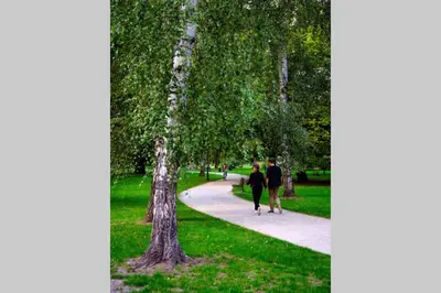 two people walking down a path in a park at Small folksy studio Kochanowskiego St in Kraków