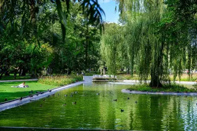 a pond in a park with ducks in the water at Small folksy studio Kochanowskiego St in Kraków