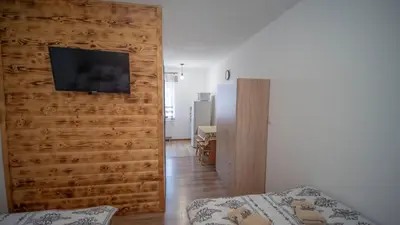 a bedroom with a wooden wall with a television on it at U Jędrusia in Zubrzyca Górna