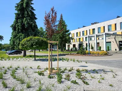 a garden of plants in front of a building at Hotel Olimpijski in Oświęcim