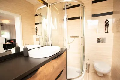 a bathroom with a shower and a sink and a toilet at Solny Domek Salt House in Wieliczka