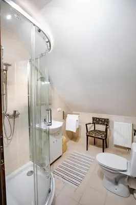a bathroom with a shower and a toilet and a sink at Orawskie Wyrko in Zubrzyca Górna
