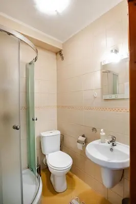 a bathroom with a toilet and a sink at Orawskie Wyrko in Zubrzyca Górna