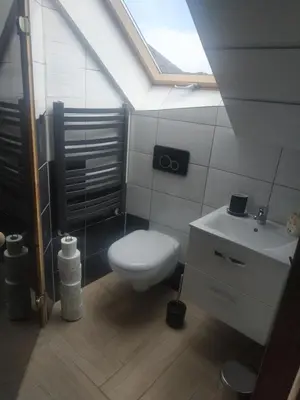 a bathroom with a toilet and a sink and a skylight at Górskie Marzenie - apartament w spokojnej okolicy z sauną blisko energylandii in Przeciszów