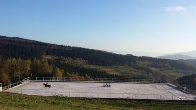 a horse running on a track in a field at Hotel Rancho Pcim in Pcim
