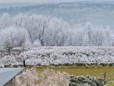 a snow covered field with trees in the background at villa relax with swimming pool and mountain view in Buków