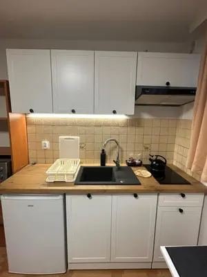 a kitchen with white cabinets and a sink at Willa Kryspinów in Kraków