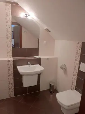 a bathroom with a sink and a toilet at Pokoje Gościnne Pałac w Balicach Instytut Zootechniki PIB in Balice
