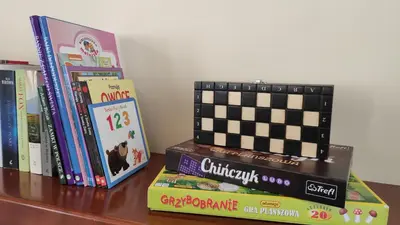 a shelf with books and a chess board on it at Pokoje Gościnne Pałac w Balicach Instytut Zootechniki PIB in Balice