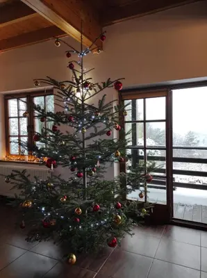 a christmas tree with ornaments on it in a room at Dom Na Wzgórzu 479, The House on the hill in Sułkowice