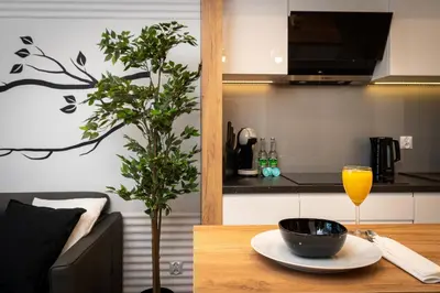 a table with a glass of orange juice and a plant at Comfort, prestige, best location Romanowicza 1 in Kraków