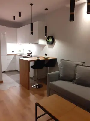 a kitchen and living room with a couch and a table at APARTAMENT DĄBSKA 24 TAURON ARENA in Kraków