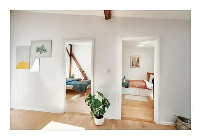 a living room with white walls and a plant at Sunny Apartment at the Heart of Old Town in Kraków