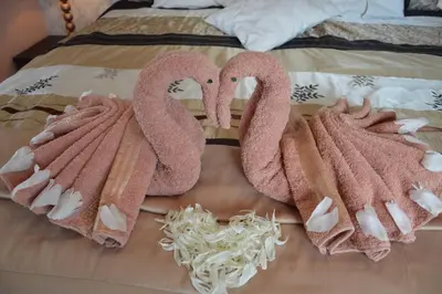 two towel swans on a bed with noodles at amel orawa in Podwilk