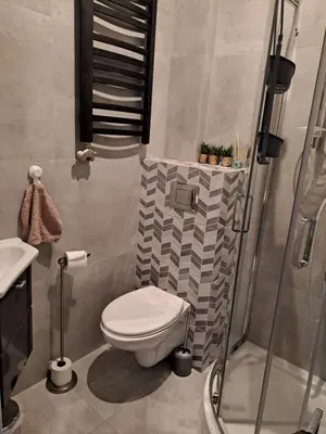 a bathroom with a toilet and a shower at Prokocim Apartments in Kraków