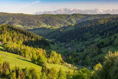 a green valley with trees and mountains in the background at Gorczańskie Siedlisko in Ochotnica Górna