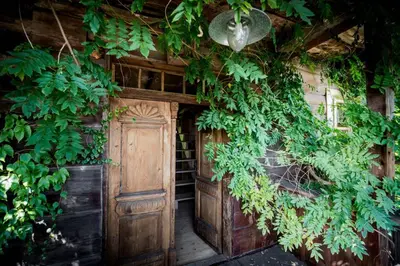 an entrance to a house with a door covered in ivy at Domek nad Galerią in Lanckorona