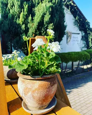 a vase with flowers in it sitting on a table at Dworek Złoty Róg Hotel i Restauracja in Kraków