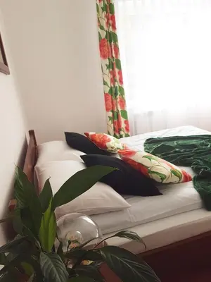 a bed with pillows and a plant next to a window at Dom Pod Lasem 44 in Klecza Górna