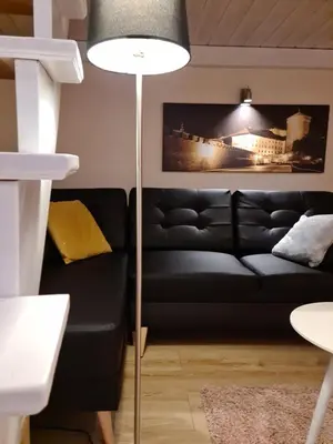 a living room with a black couch and a floor lamp at AMBER APATRTAMENt 7 in Kraków