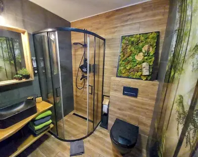 a bathroom with a shower and a sink at Eleonor Accommodation exclusive house in Liszki