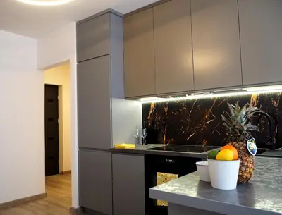 a kitchen with gray cabinets and a pineapple on a counter at Telimeny in Kraków