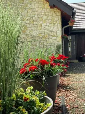 a group of flowers in pots in front of a building at Boski Zakątek in Wielka Wieś