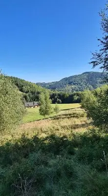a field with trees and a house in the distance at Ostoja Jaworskie in Stryszawa