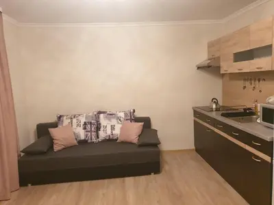 a living room with a couch in a kitchen at Noclegi w gorcach in Ponice