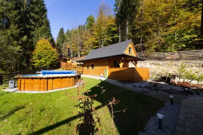 a wooden cabin with a swimming pool in a yard at Kocierska Chata in Kocierz Rychwałdzki